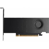 RTX PRO 2000 BLACKWELL 16GB 4XMDP GDDR7 128Bit