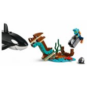 Arctic Explorer Ship 60368