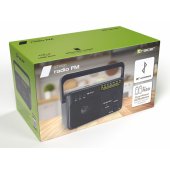 47775 GTX100 Radio FM