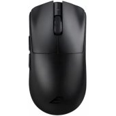 Gemini Black