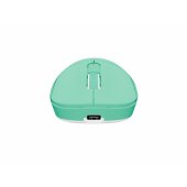 Tanto T4 Mint Green