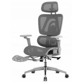 Expert 7.9 Grey