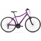 City bike Orkan D 2025 L violet-pink