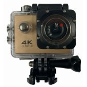 SPK-1 Gold