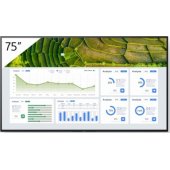 FW-75BZ30L 75" IPS 16:9