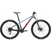 Talon 3 29" Frost Silver (L)