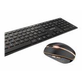 DW 9100 Slim black/ gold