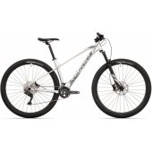 Torrent 50-29 29x19" (L) Gloss Silver/ Black