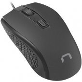 Hoopoe 2 Black