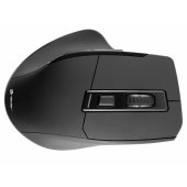 46950 Cozy RF 2.4GHz