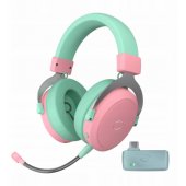 CH351 Green/ Pink