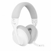 WGH-2441 Falcon White/ Grey