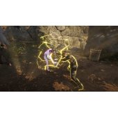 Cobra Kai 2: Dojo®s Rising PS4