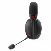 Headphones H848 IRE Pro black
