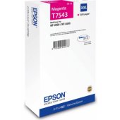 T7543 Magenta