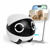 ROLA Mini Companion Robot