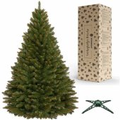 CT0081 180cm