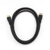 CC-DP-1M